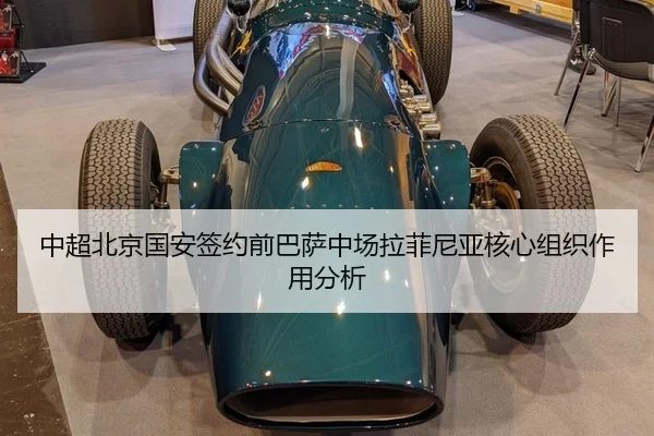 zhong-chao-bei-jing-guo-an-qian-yue-qian-ba-sa-zhong-chang-la-fei-ni-ya-he-xin-zu-zhi-zuo-yong-fen-xi-3-165.jpg