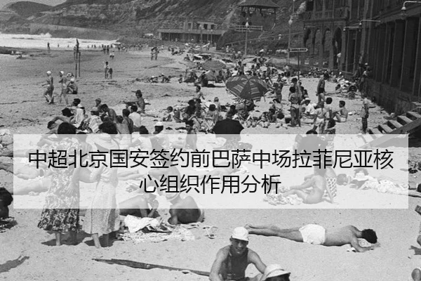 zhong-chao-bei-jing-guo-an-qian-yue-qian-ba-sa-zhong-chang-la-fei-ni-ya-he-xin-zu-zhi-zuo-yong-fen-xi-1-972.jpg