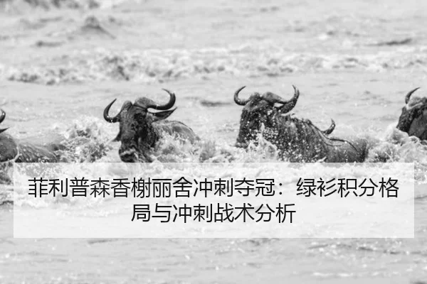 fei-li-pu-sen-xiang-xie-li-she-chong-ci-duo-guan-lv-shan-ji-fen-ge-ju-yu-chong-ci-zhan-shu-fen-xi-2-402.jpg